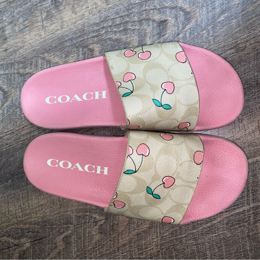 Cherry Coach Slides